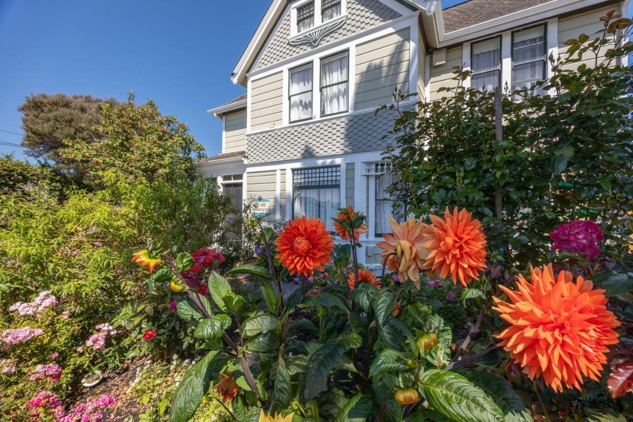 Nantucket Penthouse - Walk To Restaurants Beaches Activies & So Much More Гаф-Мун-Бей Екстер'єр фото